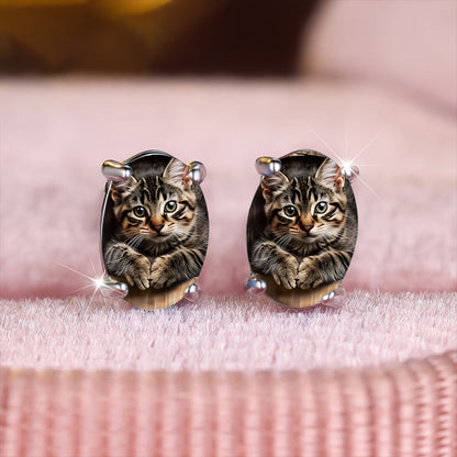 Kitten Oval Earrings