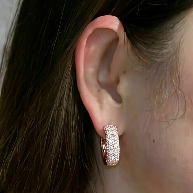 Shiny Cubic Zirconia Earrings