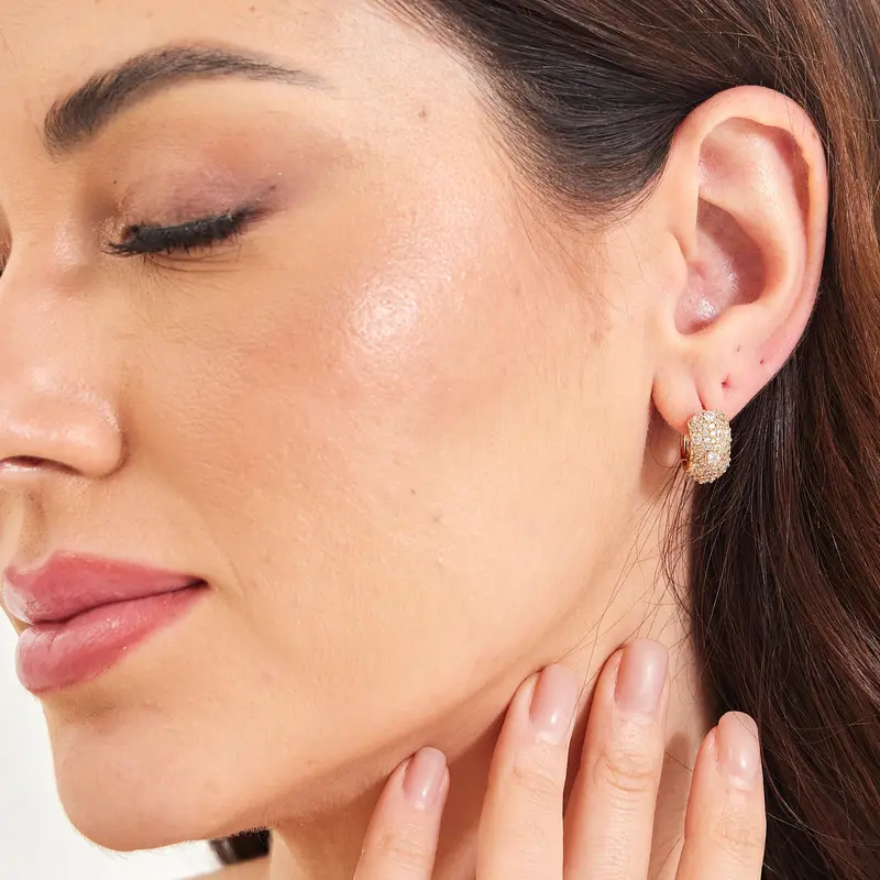 Premium Zirconia Hoop Earrings