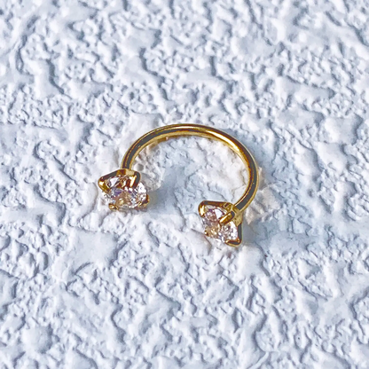 Titanium Horseshoe Nose Ring